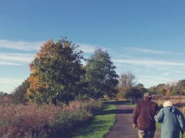 activities for seniors