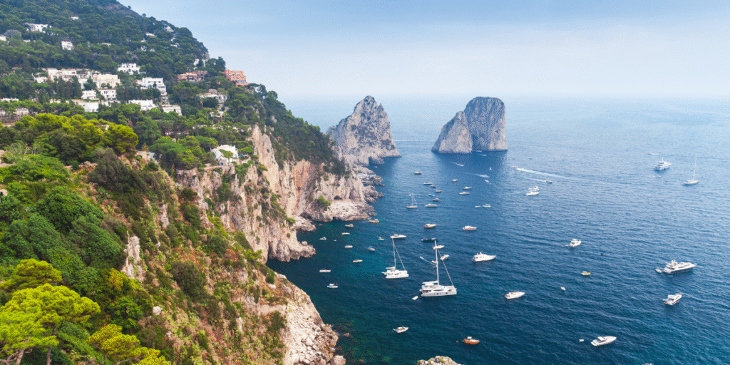 Mediterranean